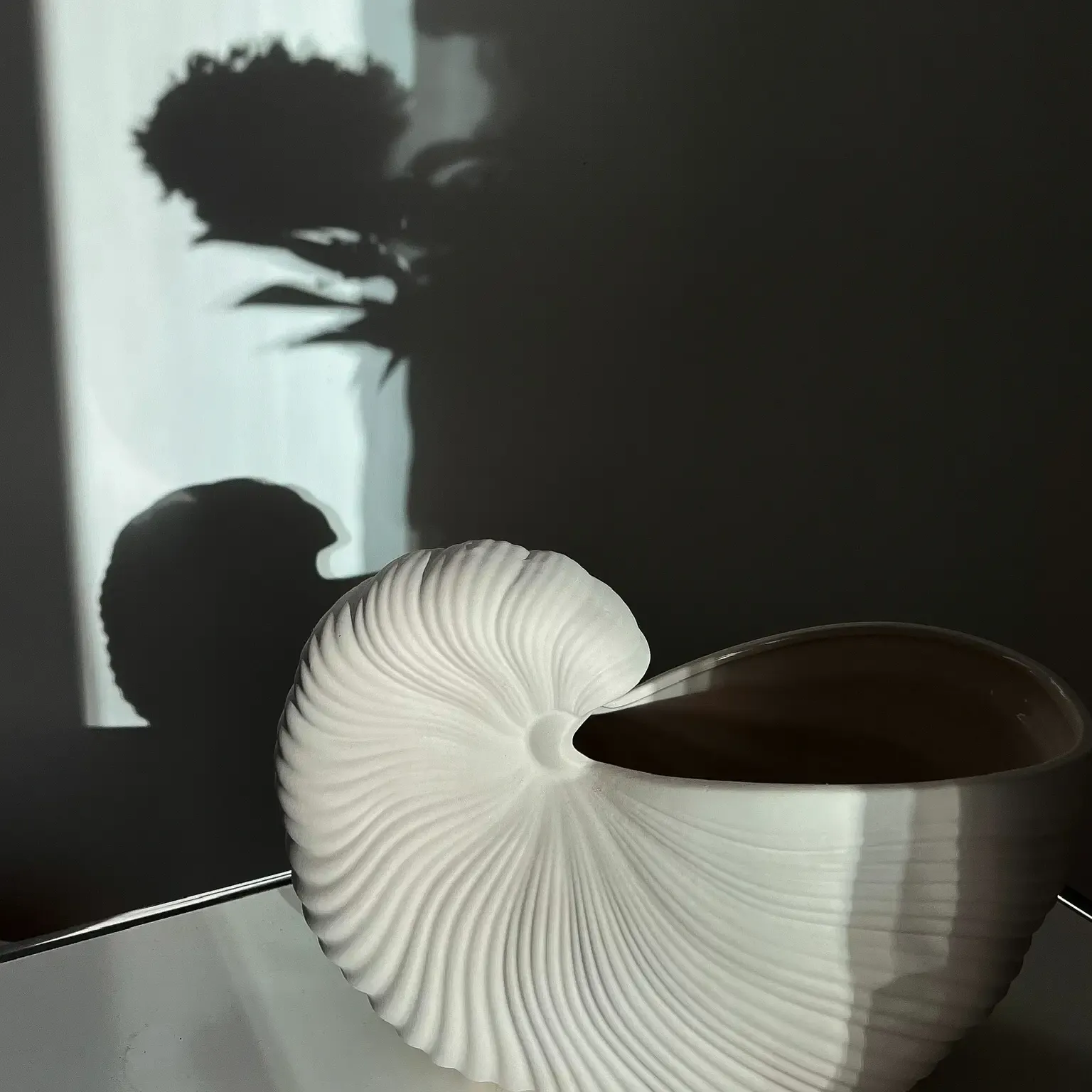 Muschel-Vase mit Schattem im Hintergrund